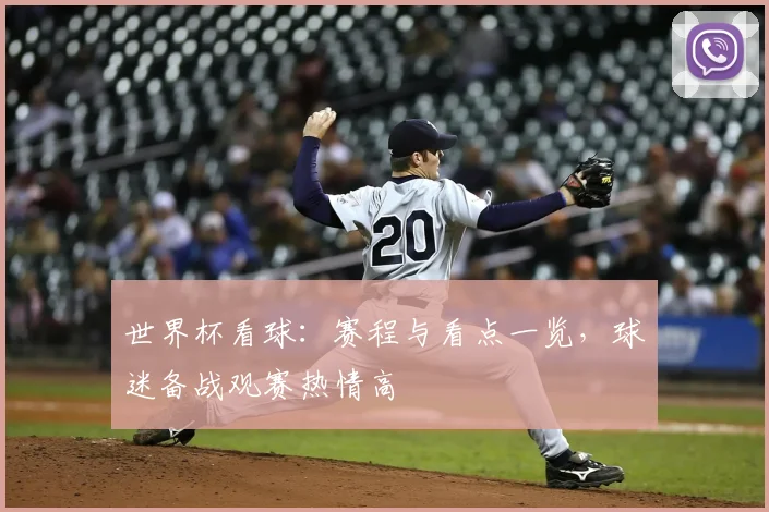 世界杯看球:赛程与看点一览,球迷备战观赛热情高