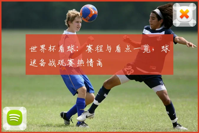 世界杯看球:赛程与看点一览,球迷备战观赛热情高