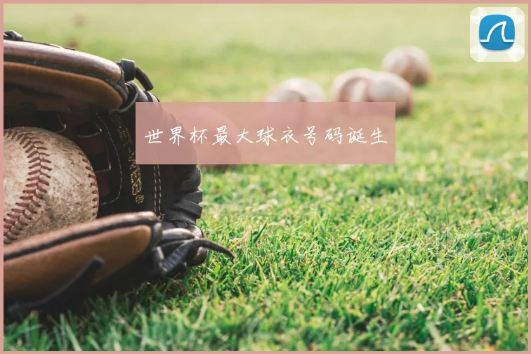 世界杯最大球衣号码诞生