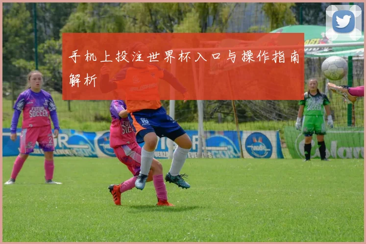 手机上投注世界杯入口与操作指南解析