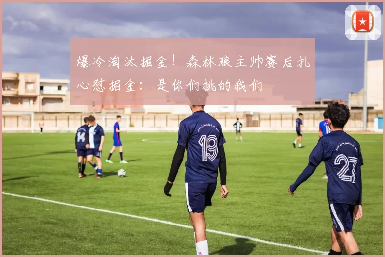 爆冷淘汰掘金！森林狼主帅赛后扎心怼掘金：是你们挑的我们